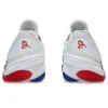 Court FF 3 Novak “White Blue Red”