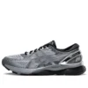 Gel-Nimbus 21 Platinum “Sheet Rock Silver”
