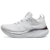 Gel-Nimbus 26 Platinum “Real White Pure Silver”