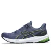 GT-1000 12 “Thunder Blue Electric Lime”