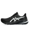 GT-2000 12 “Black White”