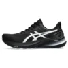 GT-2000 12 “Black White”