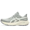 GT-2000 13 ATC “Seal Grey Brich”