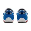 Idaho Mini 4 “Blue”