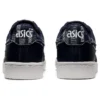 Japan S “Midnight Navy”