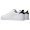 Japan S “White Black”