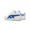 Japan S “White Blue Red”