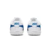 Japan S “White Blue Red”