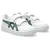 Japan S “White Ivy”
