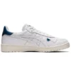 Japan S “White Light Indigo”