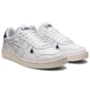 Japan S “White Light Indigo”