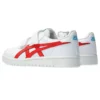 Japan S “White True Red”
