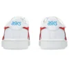 Japan S “White True Red”