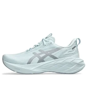 Novablast 4 LE “Cool Grey”