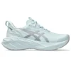 Novablast 4 LE “Cool Grey”